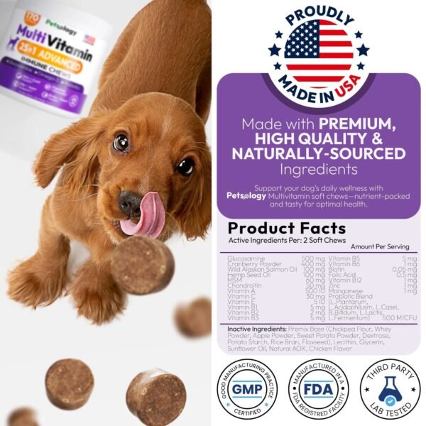 Dog Multivitamin Chewable Dog Vitamins And Supplements With Glucosamine 170 Chews Hip & Joint Pet Immune Support Skin & Coat Gut & Heart Health Senior & Puppy Multivitamin Pet Supplement - Image 8