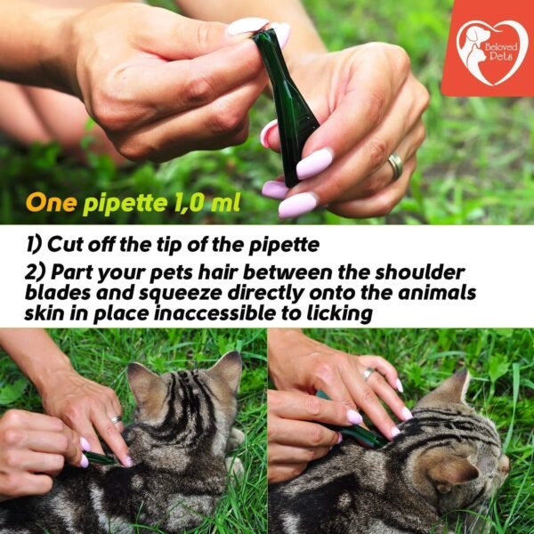 Flea And Tick Prevention For Dogs Cats Rabbits Natural Flea Treatment Home Pest Control Topical Flea Mosquito Repellent For Puppy Kitten 3 Drops For Small And Large Pet - Image 4