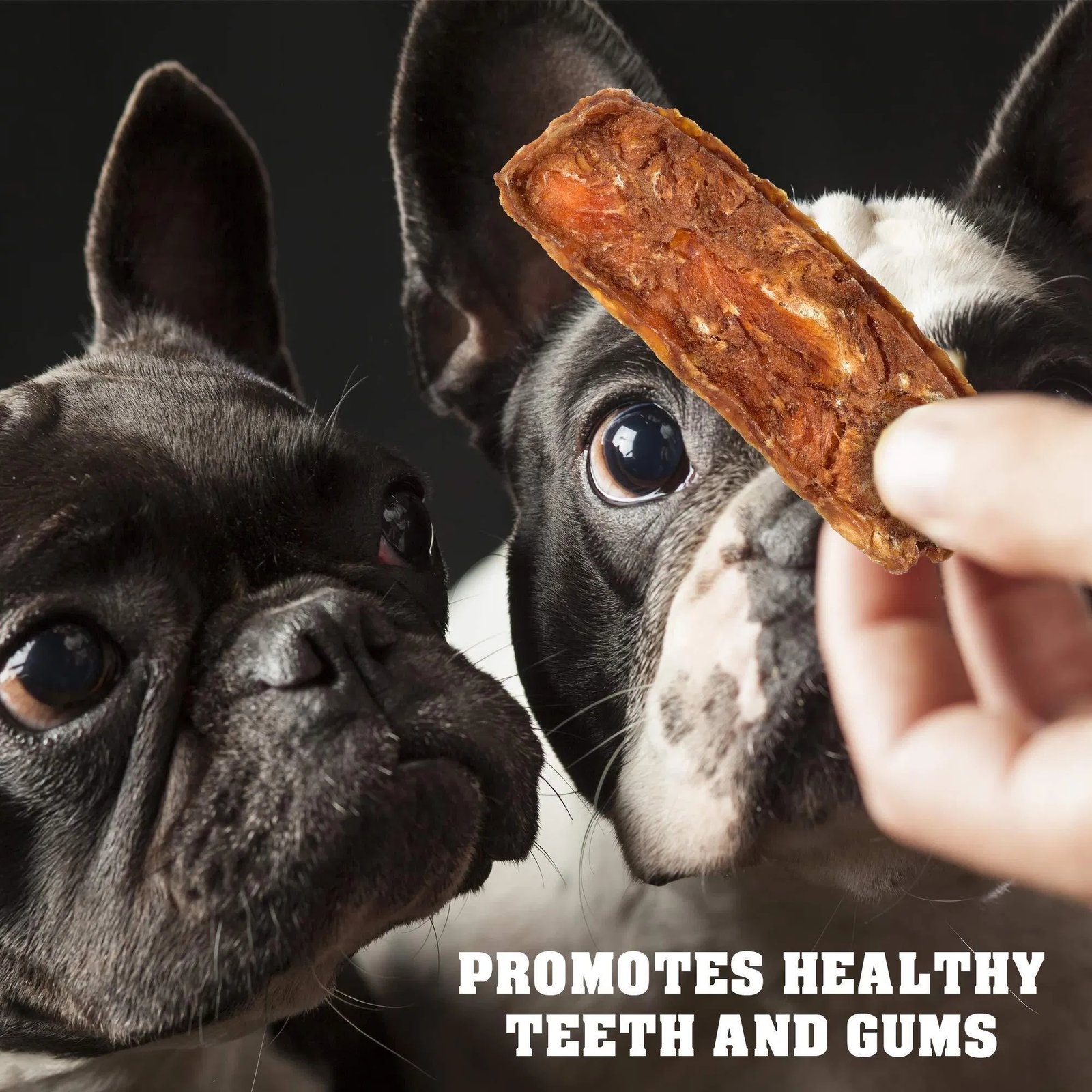 Chicken Jerky Dog Treats 1.5 Lb Human Grade Pet Snacks Grain Free Organic Meat All Natural High Protein Dried Strips Best Chews For Training Small & Large Dogs - Image 2