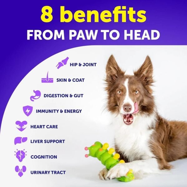 Dog Multivitamin Chewable With Glucosamine 20 In 1 Dog Vitamins And Supplements Senior & Puppy Multivitamin For Dogs Pet Joint Support Health Immunity Mobility Gut Skin 120 Chews - Image 2