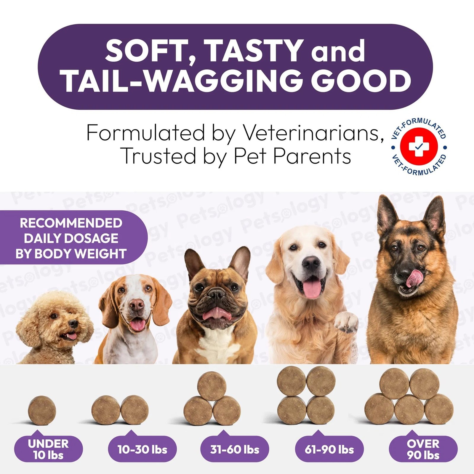 Dog Multivitamin Chewable Dog Vitamins And Supplements With Glucosamine 170 Chews Hip & Joint Pet Immune Support Skin & Coat Gut & Heart Health Senior & Puppy Multivitamin Pet Supplement - Image 5