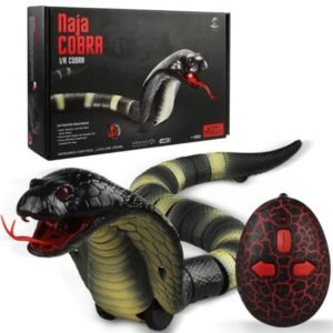 Novelty Remote Control Toy