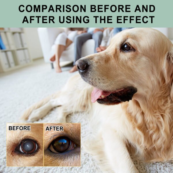 Dogs And Cats Eye Care Eye Drops - Image 5