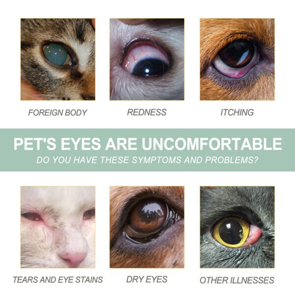 Dogs And Cats Eye Care Eye Drops - Image 3