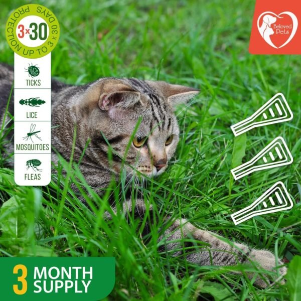 Flea And Tick Prevention For Dogs Cats Rabbits Natural Flea Treatment Home Pest Control Topical Flea Mosquito Repellent For Puppy Kitten 3 Drops For Small And Large Pet - Image 6
