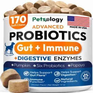 Probiotics For Dogs 170 Dog Probiotics Chews Digestive Enzymes & Prebiotics Support Gut Health Diarrhea Gas & Constipation Relief Itchy Skin Allergies Yeast Balance Pet Supplement