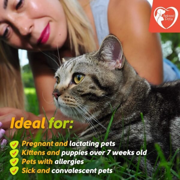 Flea And Tick Prevention For Dogs Cats Rabbits Natural Flea Treatment Home Pest Control Topical Flea Mosquito Repellent For Puppy Kitten 3 Drops For Small And Large Pet - Image 7