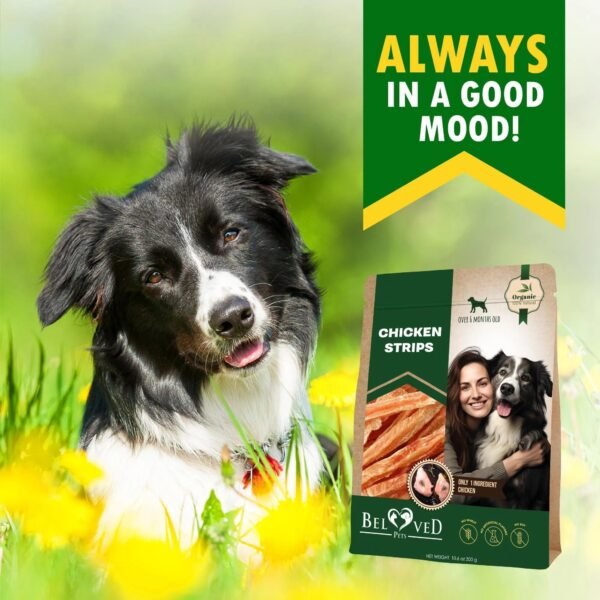 Chicken Strips Dog Treats Human Grade Meat Sticks Grain Free Chews 10.6 Oz - Image 6