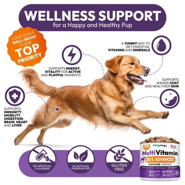 Dog Multivitamin Chewable Dog Vitamins And Supplements With Glucosamine 170 Chews Hip & Joint Pet Immune Support Skin & Coat Gut & Heart Health Senior & Puppy Multivitamin Pet Supplement - Image 3